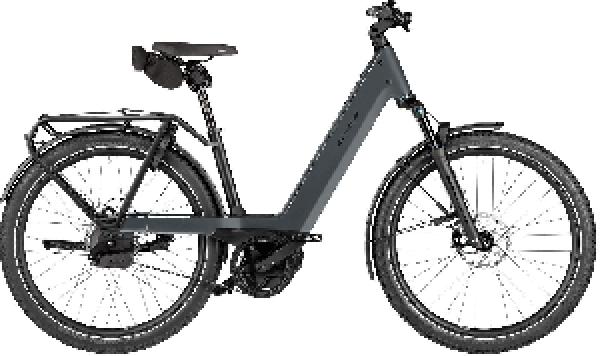 Riese & Müller Nevo5 automatic