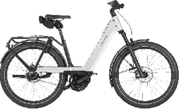 Riese & Müller Nevo5 rohloff