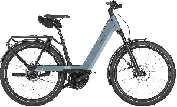 Riese & Müller Nevo5 rohloff