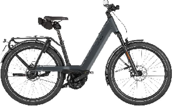 Riese & Müller Nevo5 rohloff HS