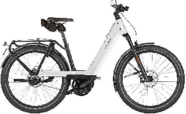 Riese & Müller Nevo5 rohloff HS