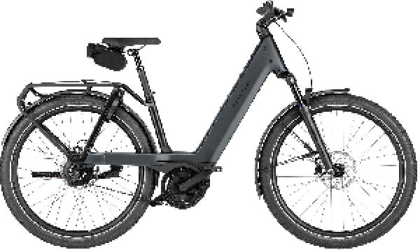 Riese & Müller Nevo5 vario CORE