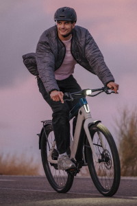 Category Image S-Pedelec